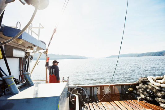 Fisherman standing on a fishing boat on a sunny day