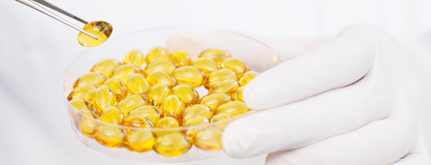 petri dish with yellow coloured capsules