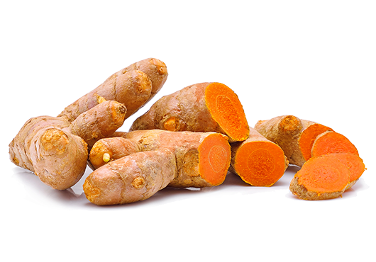 Raw curcumin root on a white background