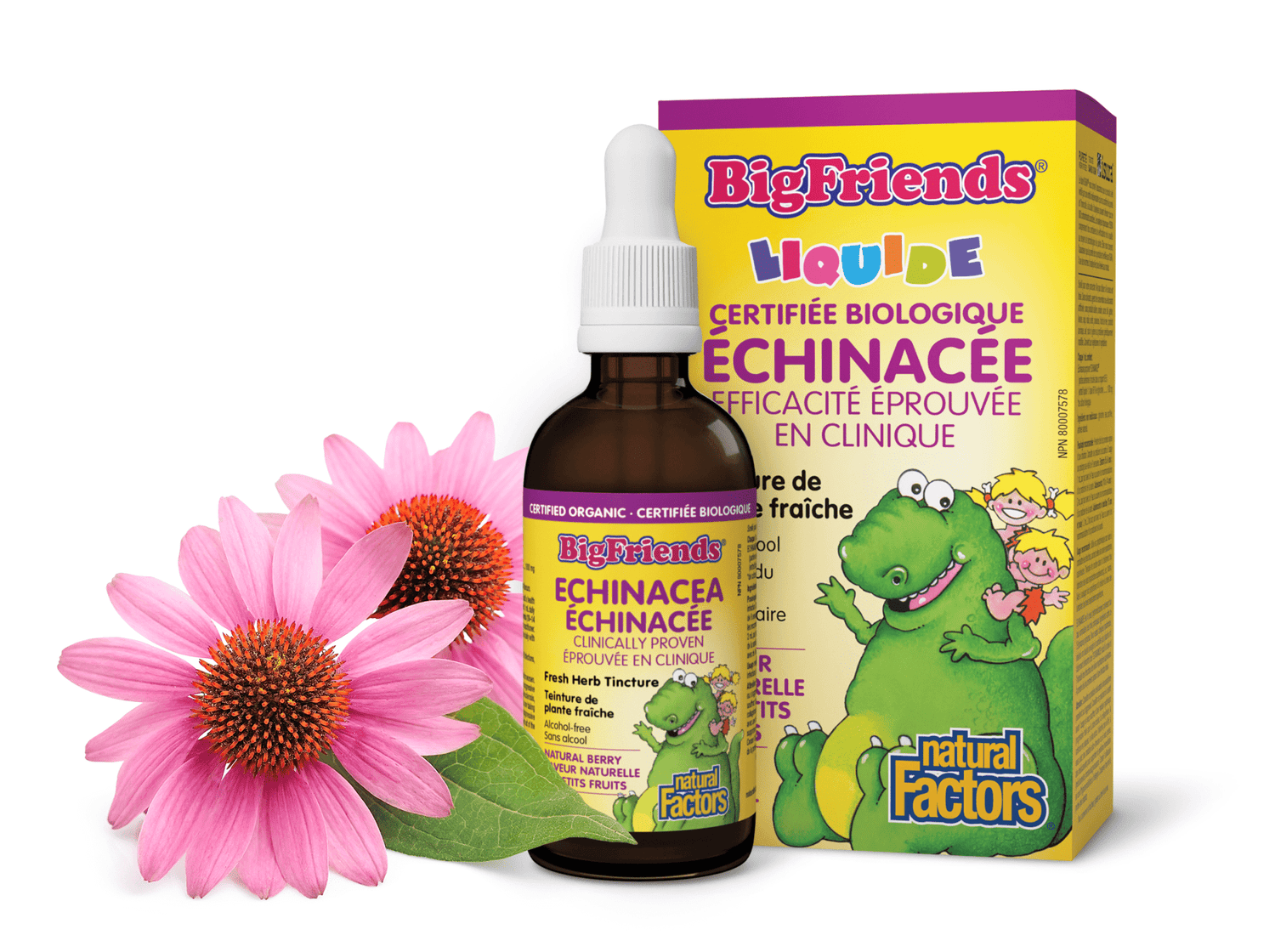 Échinacée Teinture de plante fraîche, sans alcool, Big Friends, Natural Factors|v|image|4729