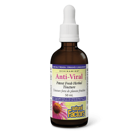 Anti-Viral Potent Fresh Herbal Tincture, ECHINAMIDE, Natural Factors|v|image|4750