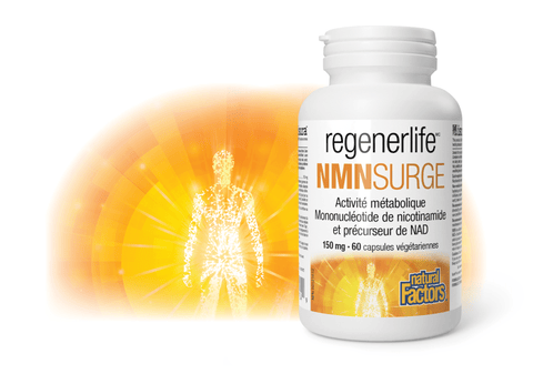 NMNSurge, Regenerlife, Natural Factors|v|image|1904