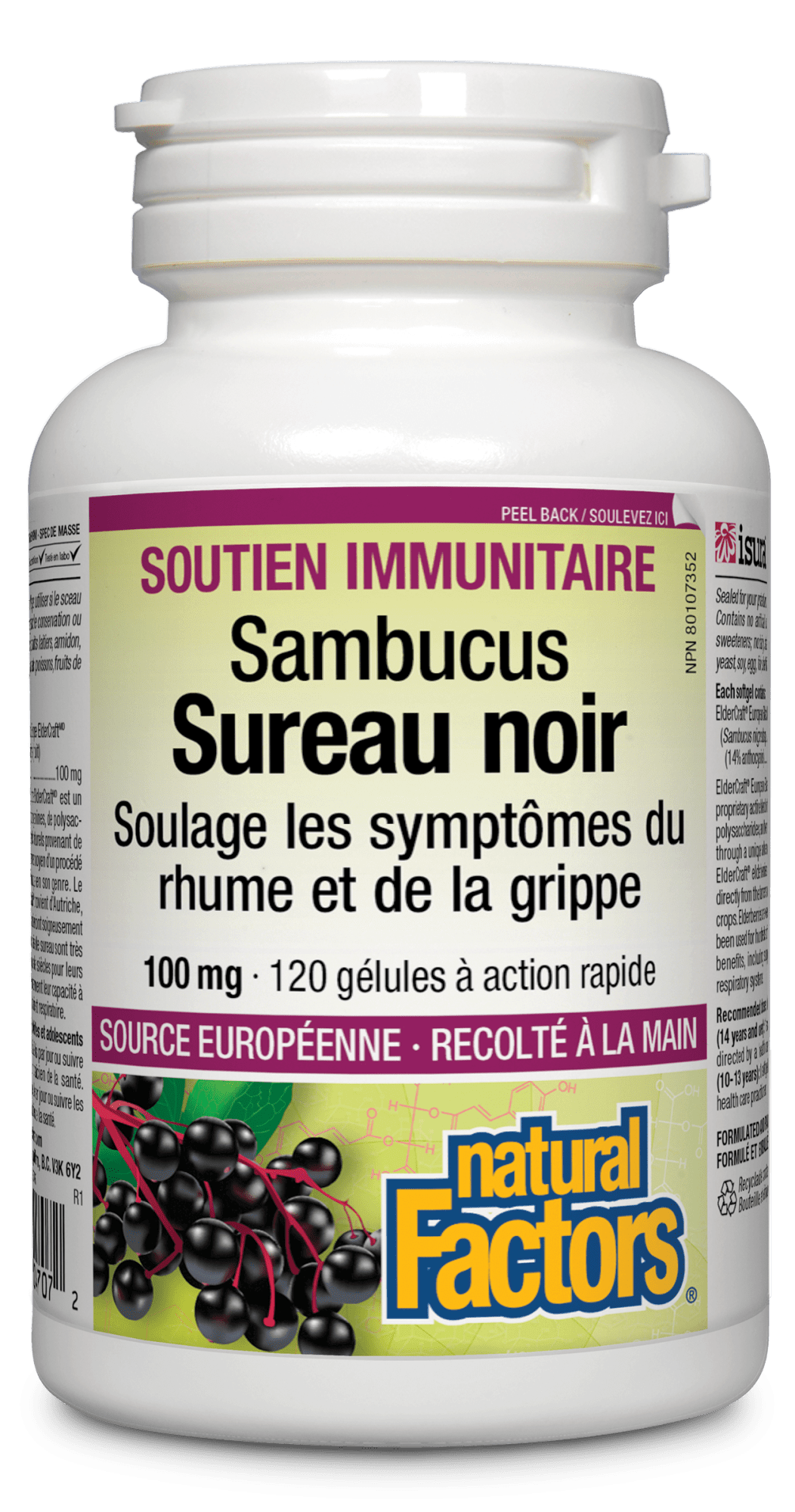 Sureau noir Extrait normalisé 100 mg, Natural Factors|v|image|4707