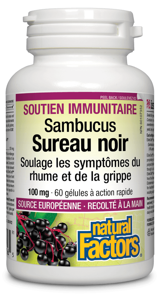 Sureau noir Extrait normalisé 100 mg, Natural Factors|v|image|4706