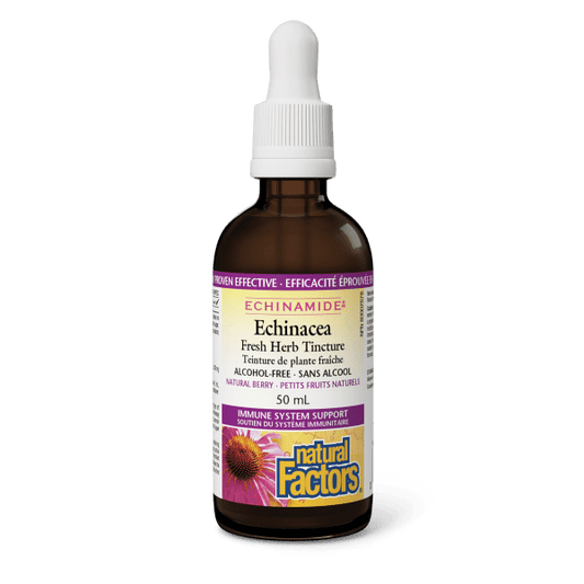 Echinacea Fresh Herb Tincture   Alcohol-Free     50 mL Tincture Natural Berry, image-hi-res