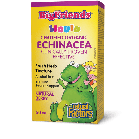 Echinacea Fresh Herb Tincture, Alcohol-free, Big Friends, Natural Factors|v|image|4729