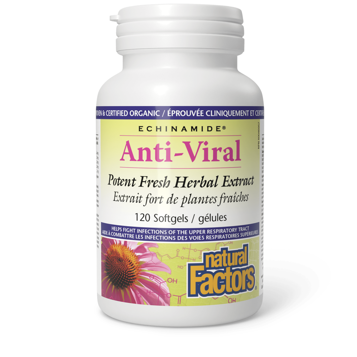 Anti-Viral Potent Fresh Herbal Extract, ECHINAMIDE for Natural Factors |variant|hi-res|4701