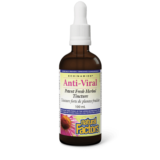 Anti-Viral Teinture forte de plantes fraîches, ECHINAMIDE, Natural Factors|v|image|4751