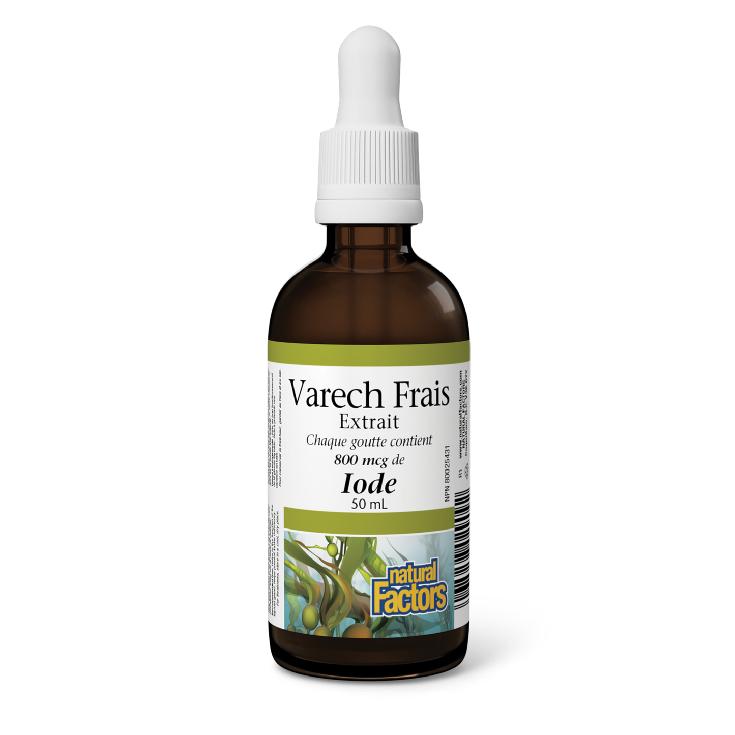 Extrait de varech frais 800 mcg, Natural Factors|v|image|2909