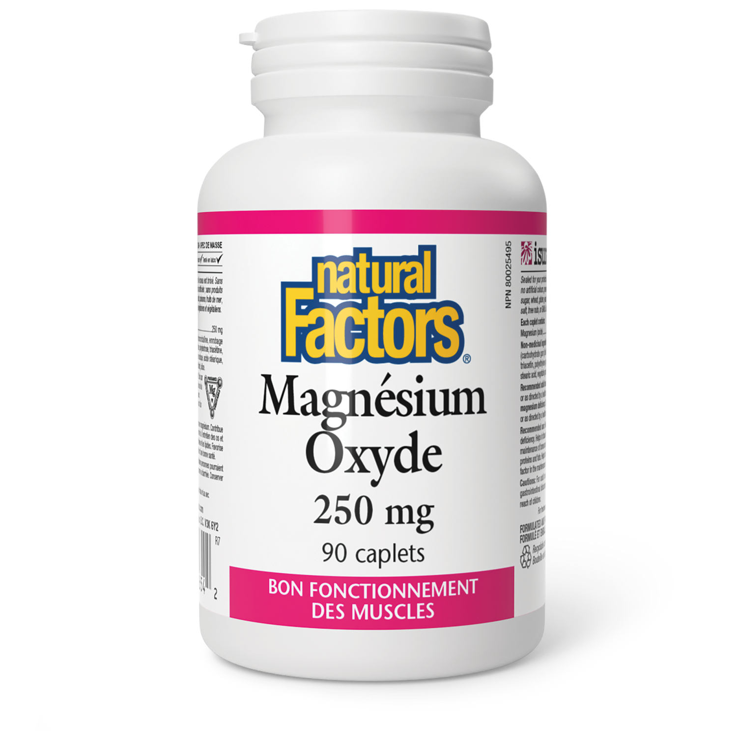 Magnésium Oxyde 250 mg, Natural Factors|v|image|1654