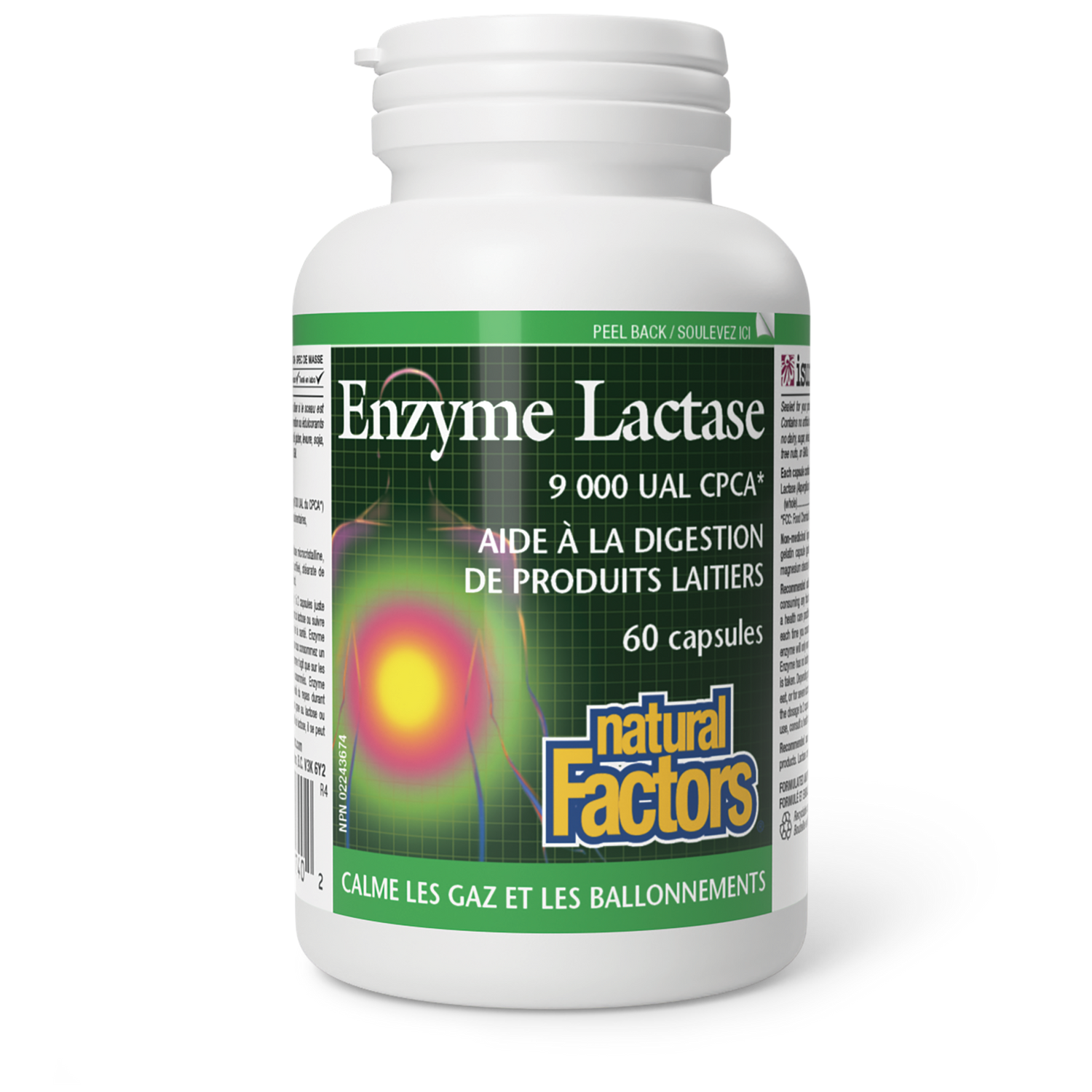 Enzyme lactase, Natural Factors|v|image|1740