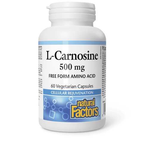 L-Carnosine 500 mg, Natural Factors|v|image|2805