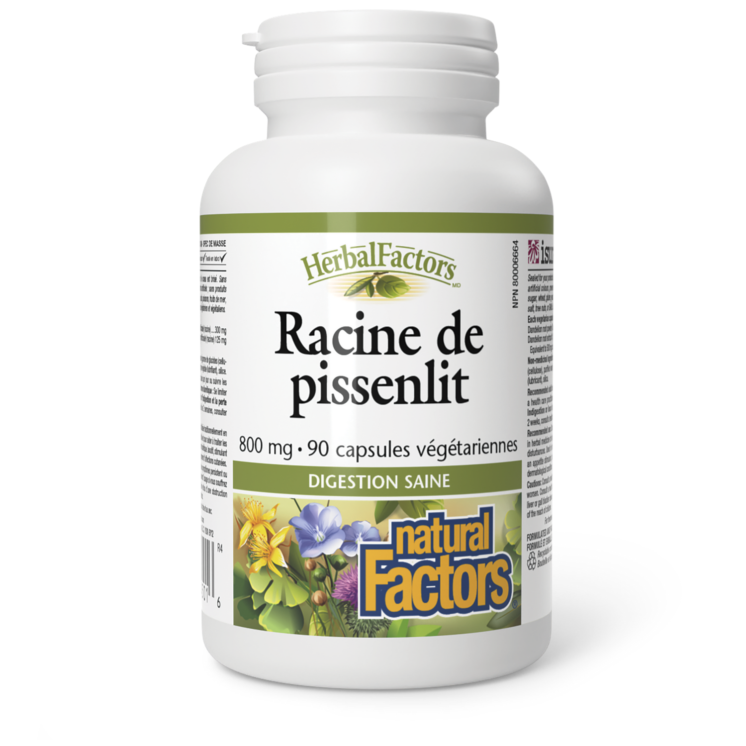 Racine de pissenlit 800 mg, HerbalFactors, Natural Factors|v|image|4501