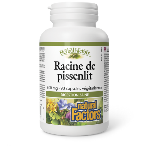 Racine de pissenlit 800 mg, HerbalFactors, Natural Factors|v|image|4501