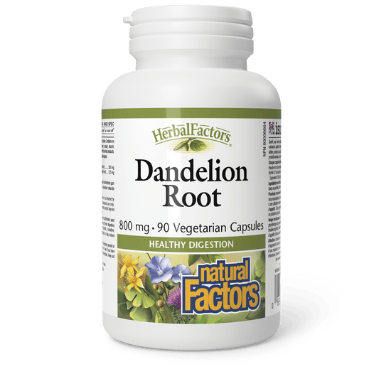 Dandelion Root 800 mg, HerbalFactors, Natural Factors|v|image|4501
