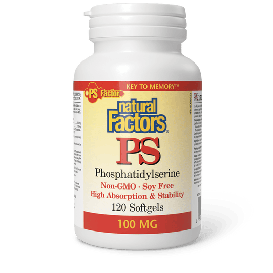 PS Phosphatidylserine 100 mg, Natural Factors|v|image|2626